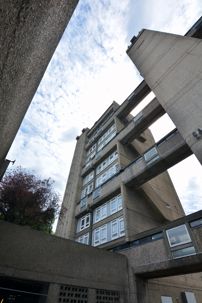 view up towards the walkways carradale house 