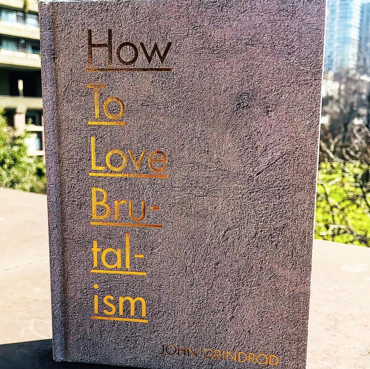 John Grindrod book architecture