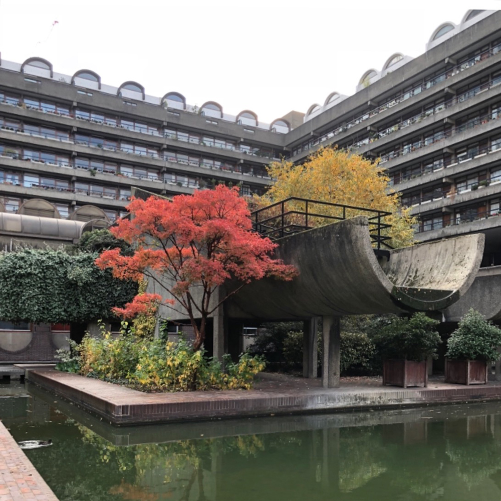 autumn in the barbican estate