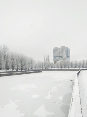 The Brutalist, abandoned House of the Soviets, Kalininigrad by Alexander Shevtsov