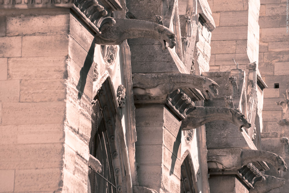 detail of gargoyles on side of Notre Dame pre 2019 fire