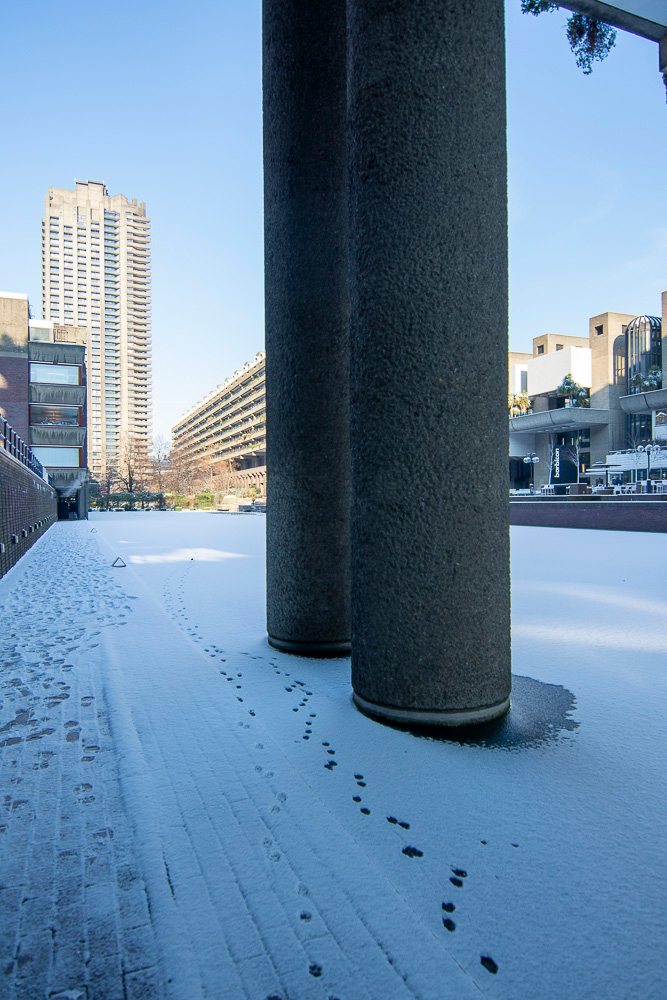 frozen lake with animal footprints barbican 