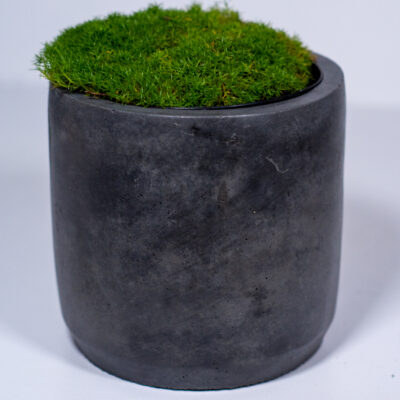 deep grey coloured concrete plant pot