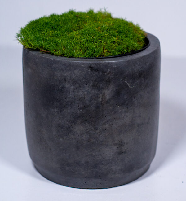 deep grey coloured concrete plant pot