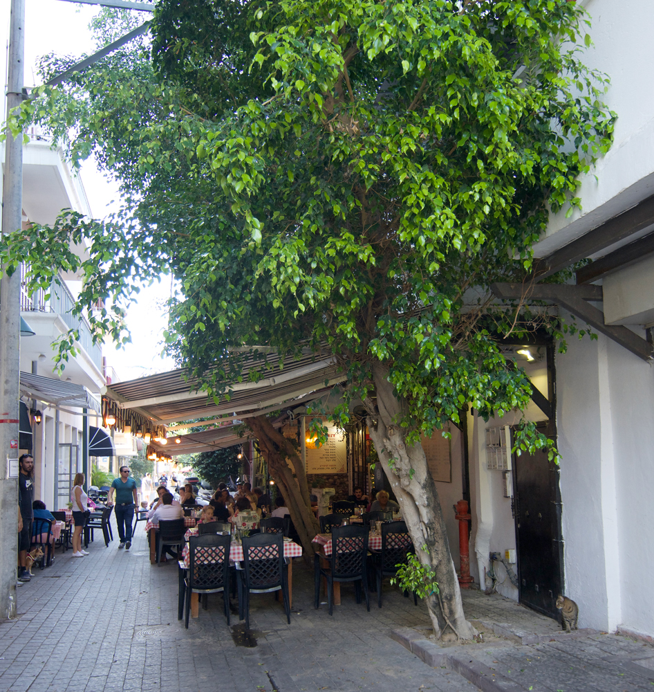 street view of Hateimani cafe tel aviv yemenite casual dining 