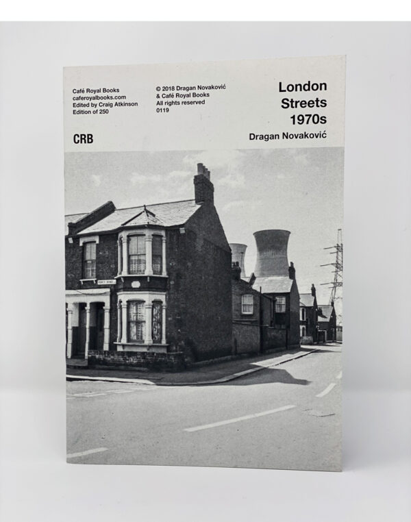 dragan novakovic london street scene