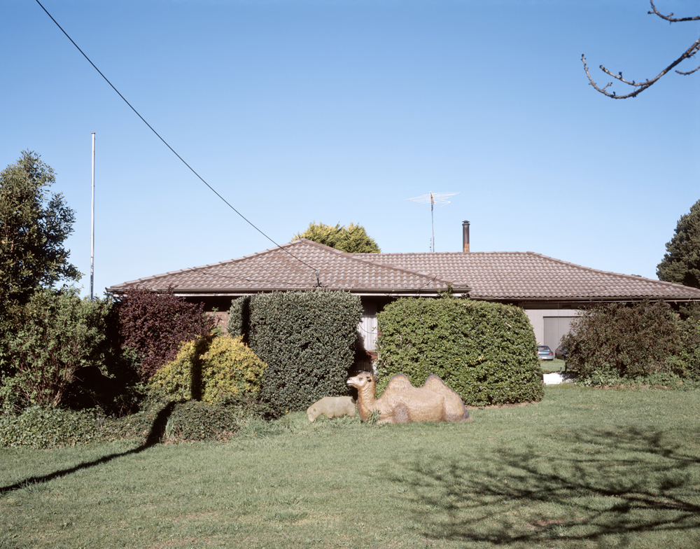 front garden of bungalow in Trentham Australia with stone camels in the garden