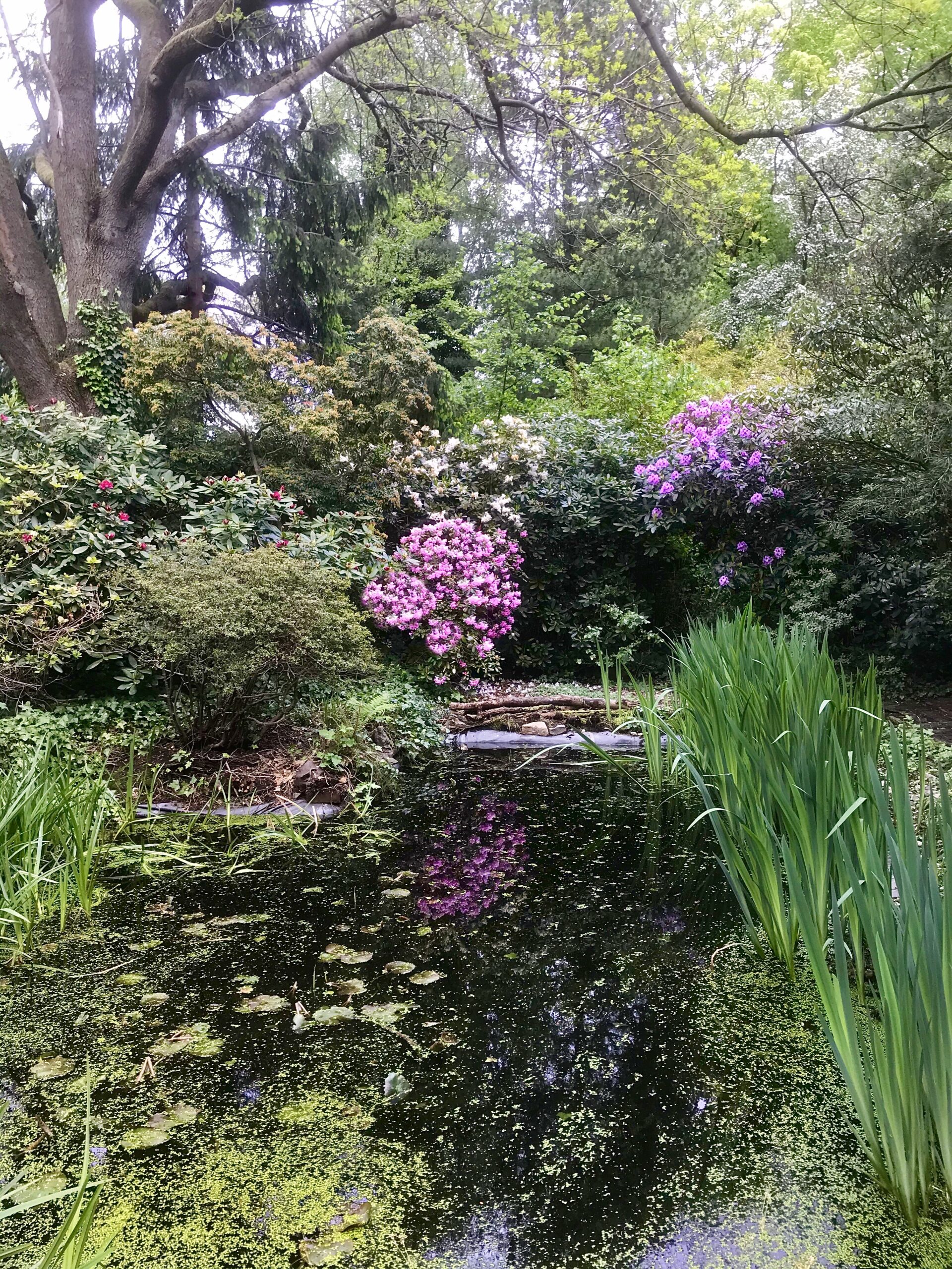 garden in Bochum Germany