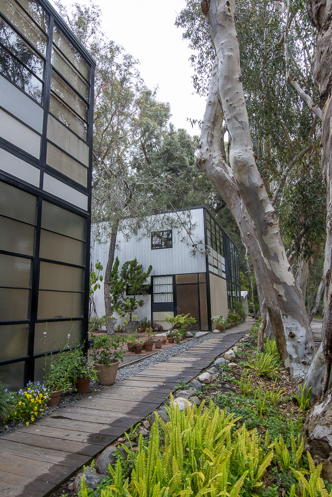 View of Eames House from the western end, inside the line of trees