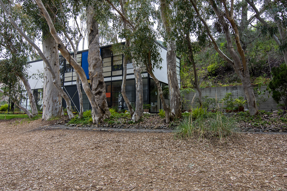Trees have grown up in front of the Eames House