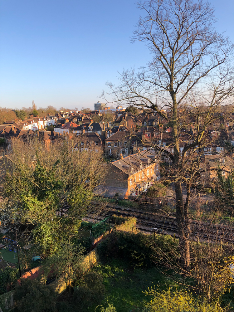 tree top view of lewisham