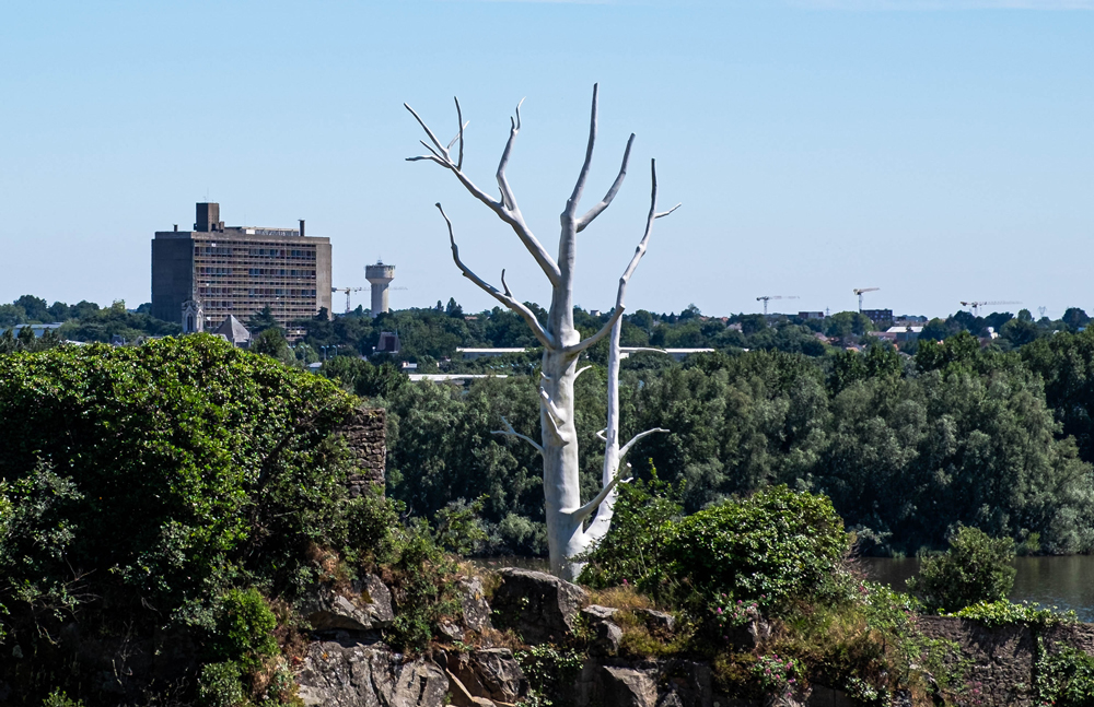 tree in foreground beyond unite d'habitation nantes reze