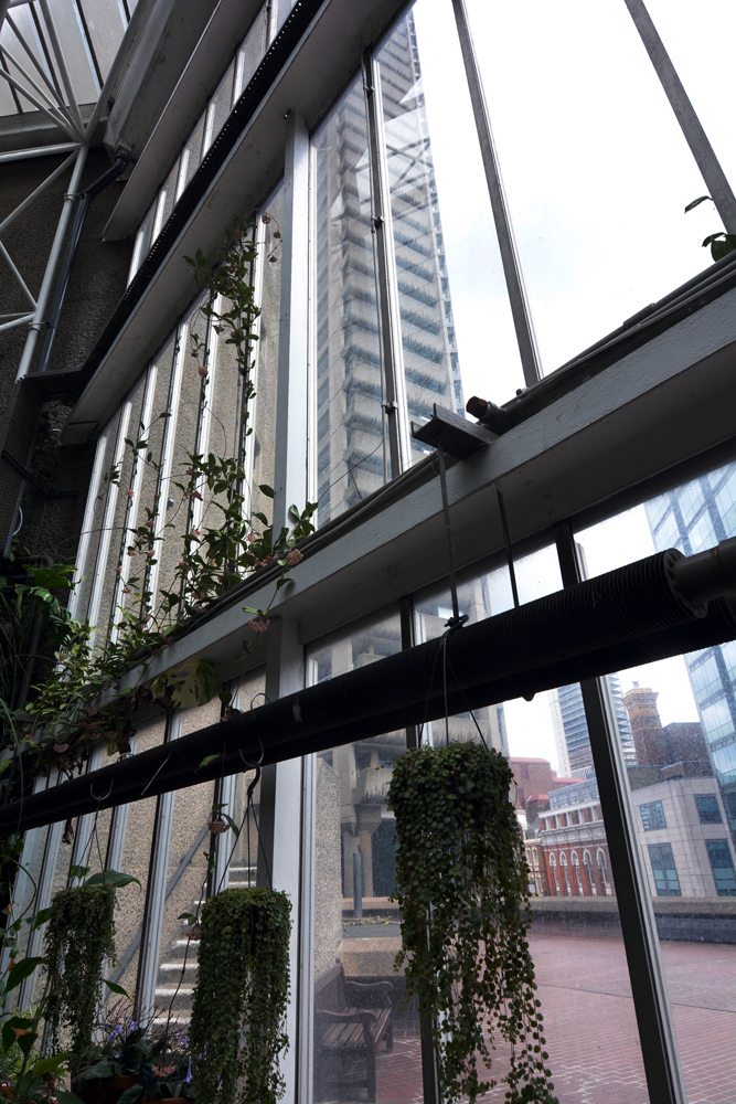 window with hanging plants barbican