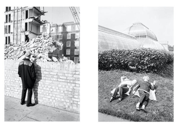 images by dragon novakovic
