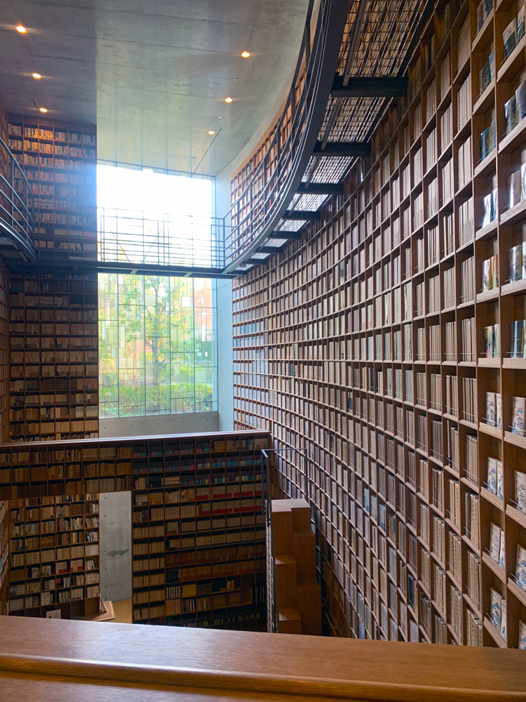 view across library