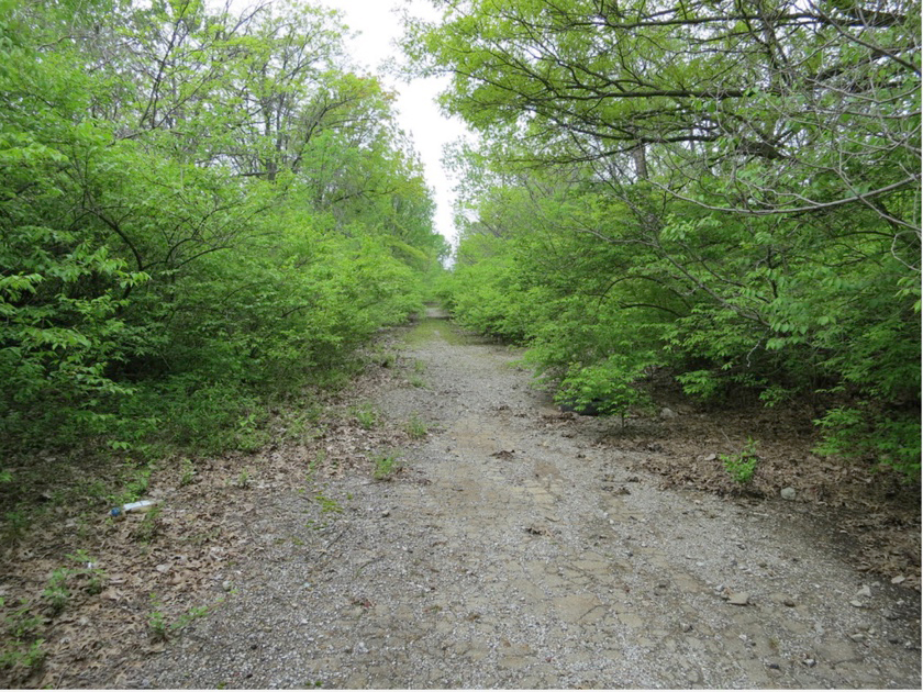 The remains of a street in Pruitt-Igoe today