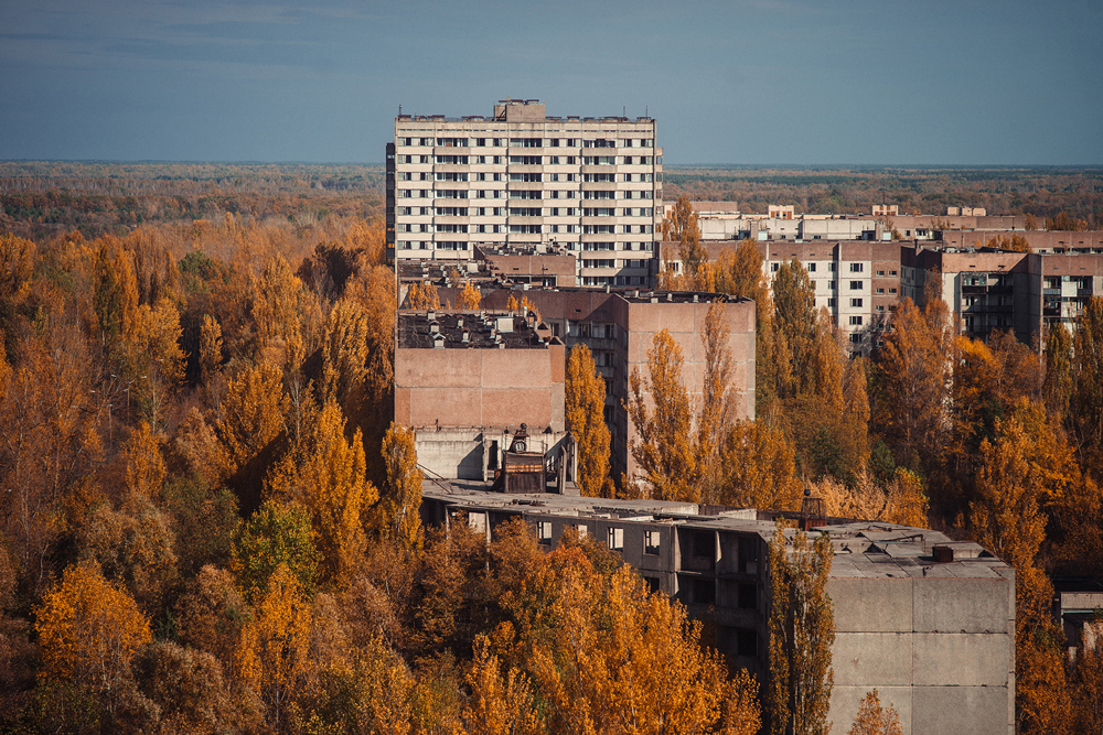 golden leaves across Chernobyl