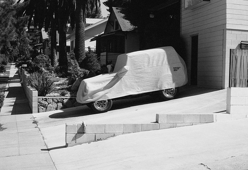 car on drive with palm trees