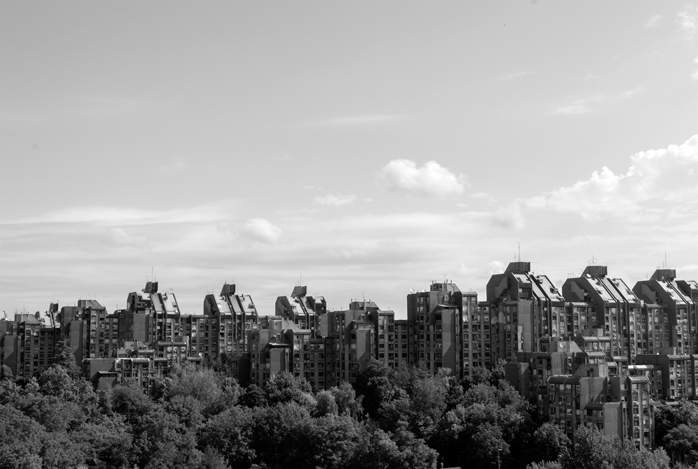 view across forested area 