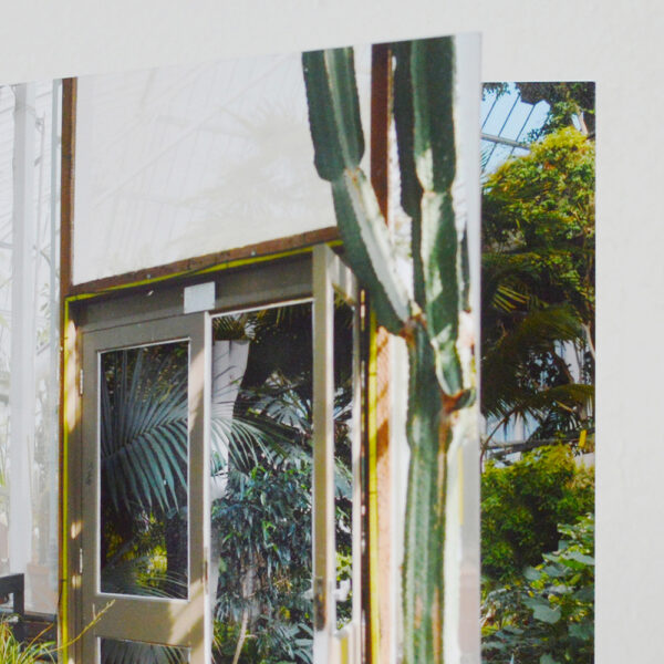 barbican conservatory doorway cut out card