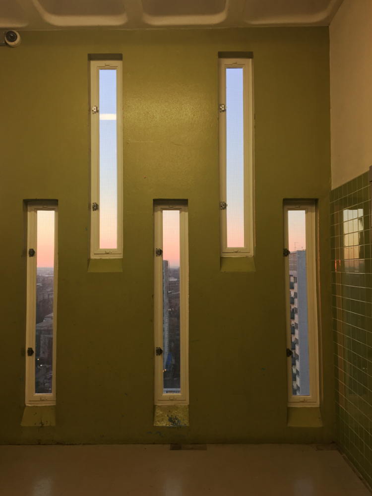 Trellick Tower windows 