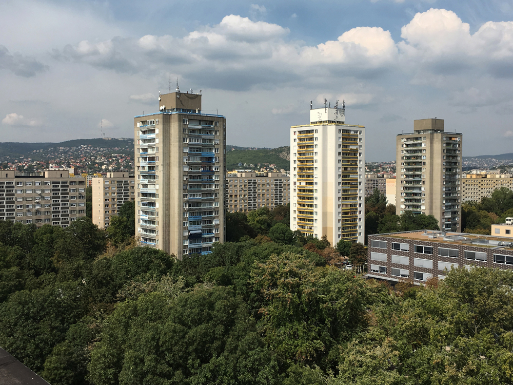 highrises from a distance 