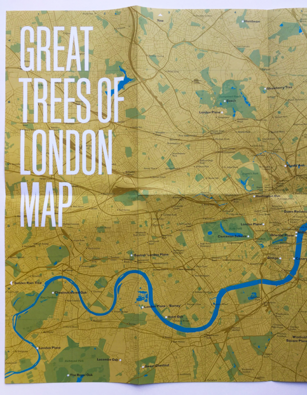 features rare species to magnificent oaks